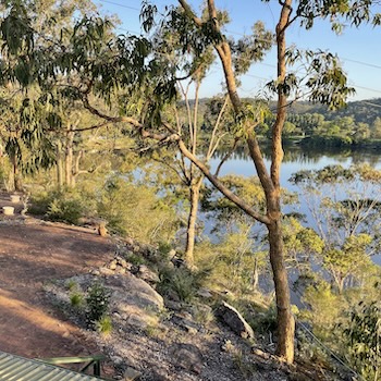 View to the river